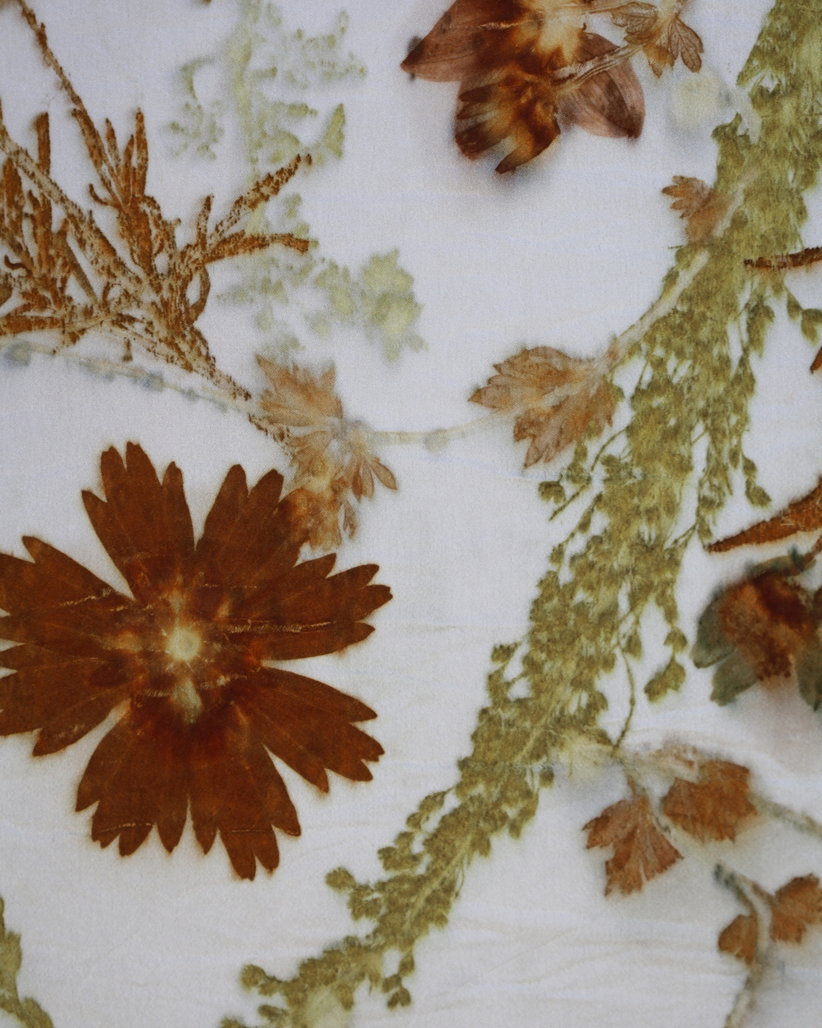 Botanical Printing Workshop - Oct 25