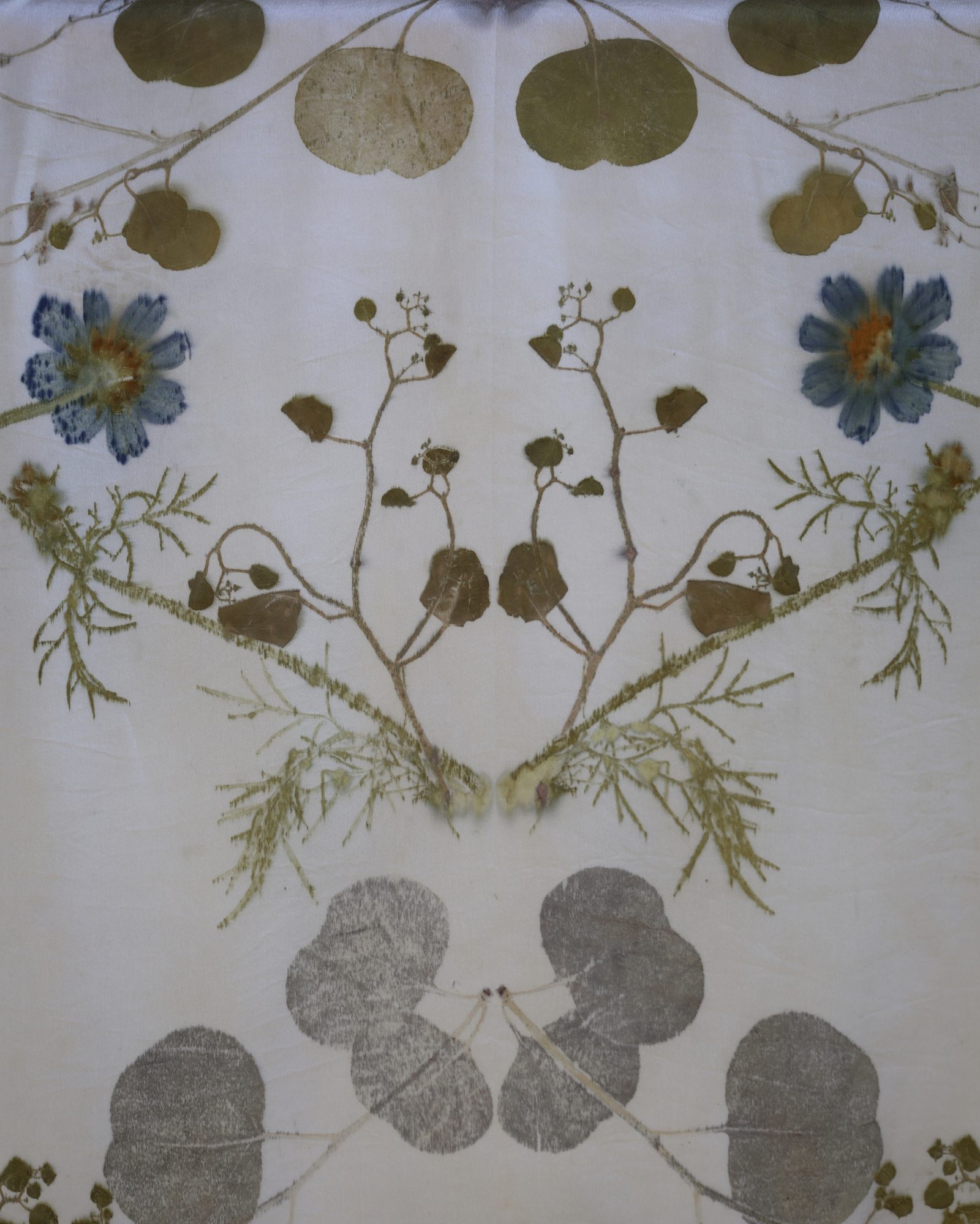 Botanical Printing Workshop - Oct 25